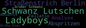 ladyboys strassenstrich berlin analsex schwanz lutschen